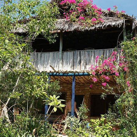 Blue Monkey Beach Cottages Shimoni Extérieur photo