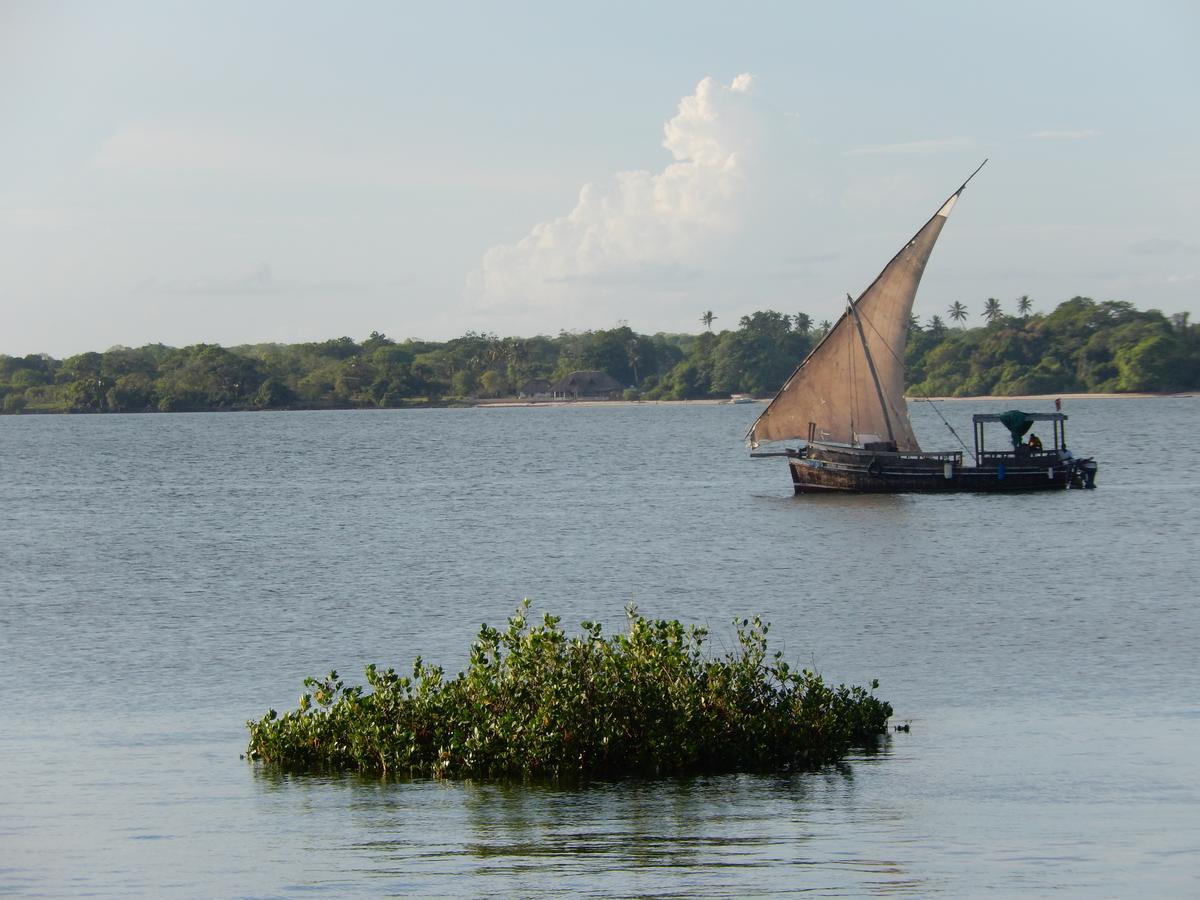 Blue Monkey Beach Cottages Shimoni Extérieur photo