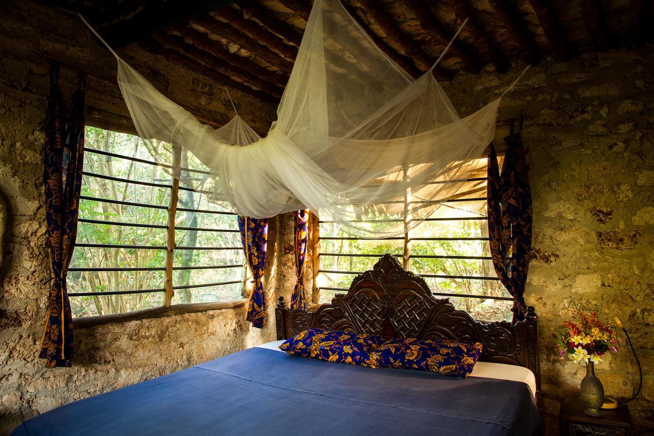 Blue Monkey Beach Cottages Shimoni Extérieur photo