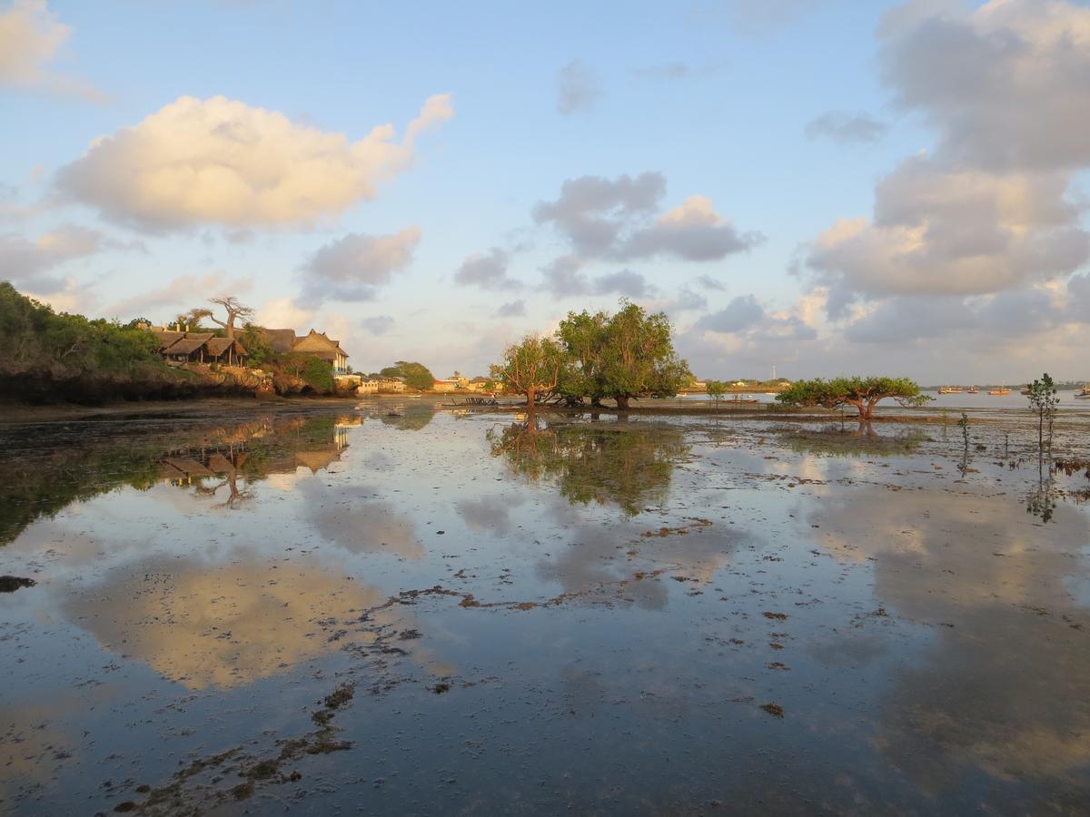 Blue Monkey Beach Cottages Shimoni Extérieur photo