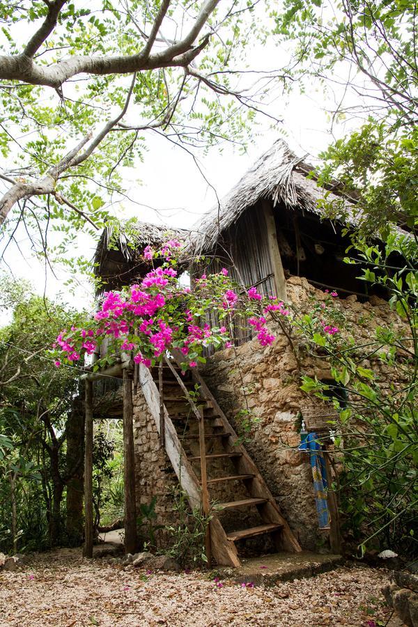 Blue Monkey Beach Cottages Shimoni Extérieur photo