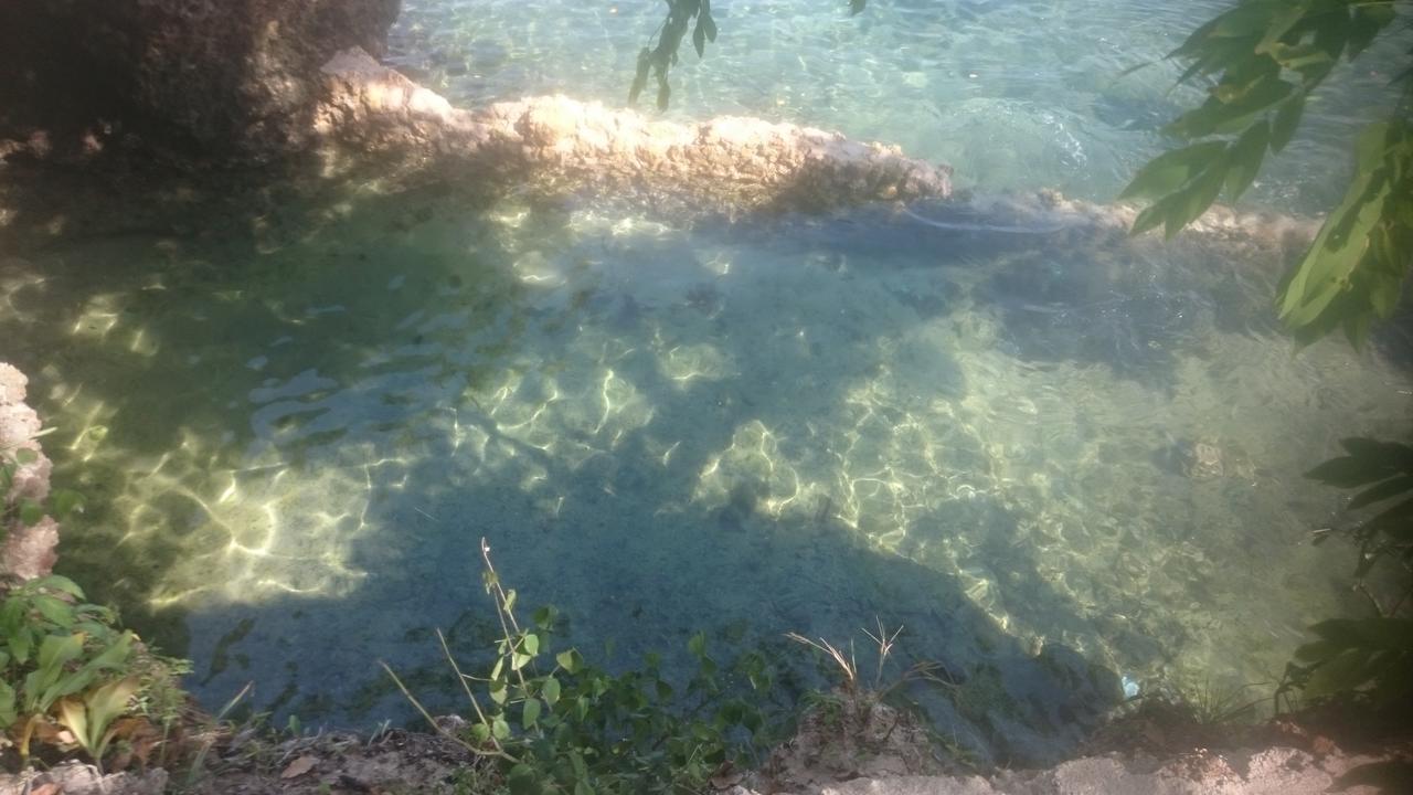 Blue Monkey Beach Cottages Shimoni Extérieur photo